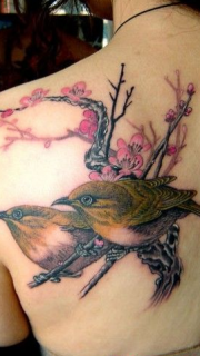 后肩的黄莺和桃花纹身
