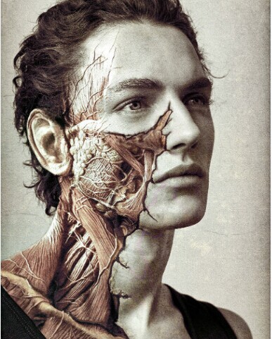 点击大图看下一张:欧美帅哥半甲超个性树头纹身