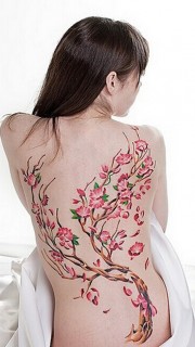 个性漂亮美女后背的梅花纹身