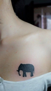 女生胸口个性的大象纹身