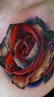 美女胸部彩色玫瑰花纹身