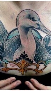 性感美女胸部好看的天鹅纹身