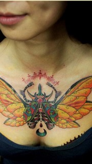 个性女生胸前时尚昆虫纹身