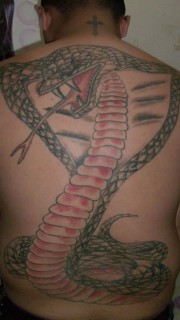 男性满背超级个性的蛇刺青