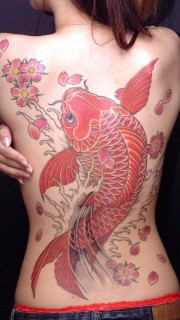 美女满背鲤鱼纹身图案