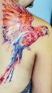 女性后肩彩色鸟纹身图案