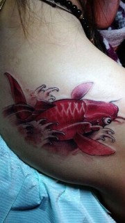 美女背部个性红鲤鱼纹身图案