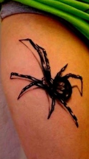 美女大腿上的毒蜘蛛纹身