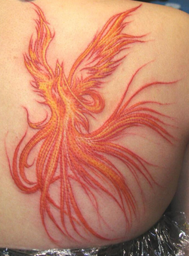 点击大图看下一张：女性背部火凤凰纹身