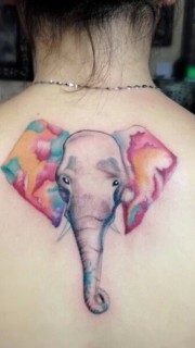 性感女生背部多彩大象纹身