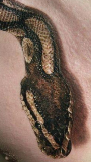 男性胸前个性3d蛇纹身
