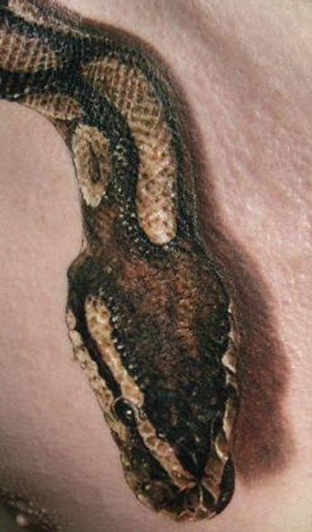 点击大图看下一张：男性胸前个性3d蛇纹身