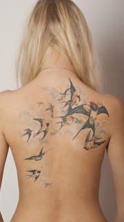 女生后背唯美的燕子纹身
