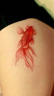 女生腿部可爱金鱼性感彩色纹身