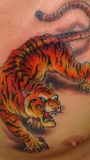 男生胸部霸气彩色斑斓老虎纹身图案