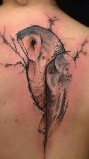 女性背部个性鹦鹉纹身图案
