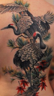 女性背部一款仙鹤纹身图案