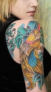 女性手臂彩色鹦鹉纹身图案