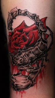 蝎子围绕惊艳的玫瑰纹身图案