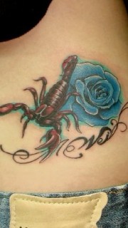 腰部彩色蝎子玫瑰纹身图案纹身