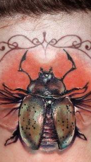 头部昆虫纹身图案