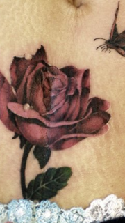腹部血红玫瑰蝴蝶纹身图案