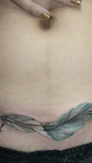 女人腹部经典潮流的羽毛纹身图案