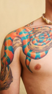 男人肩膀彩色章鱼创意刺青
