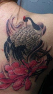 女性背部白鹤纹身图案