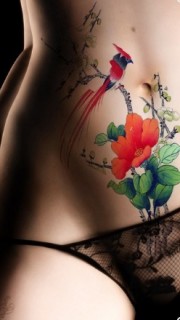 女生腹部鸟语花香彩色传统纹身