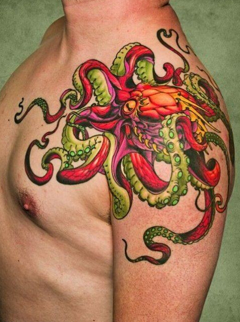 点击大图看下一张：色彩艳丽的半甲章鱼图案