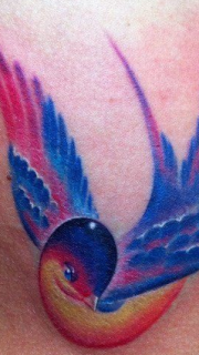 一幅好看漂亮的彩色小燕子纹身图片