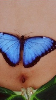 女性腹部逼真的蓝色蝴蝶纹身