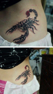 靓女腰部典型好看的图腾蝎子纹身图案