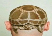 另类的头部乌龟纹身图案