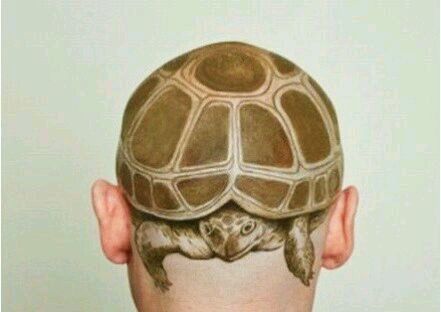 点击大图看下一张：另类的头部乌龟纹身图案