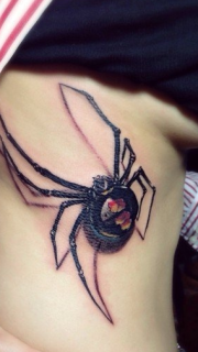 胸部很帅的蜘蛛纹身图案