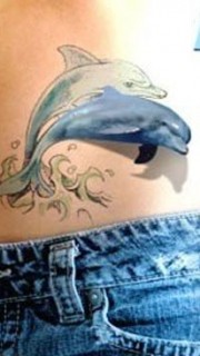 腹部逼真的3D海豚纹身