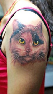 女性手臂可爱的猫咪纹身