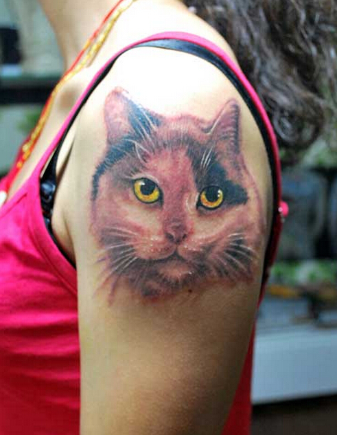 点击大图看下一张：女性手臂可爱的猫咪纹身