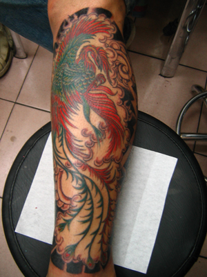点击大图看下一张：小腿上色彩鲜艳的凤凰纹身
