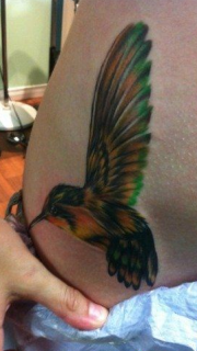 女孩子腹部彩色小蜂鸟纹身图案