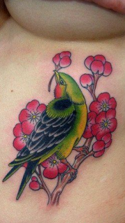 女性腹部彩色小鸟纹身图案