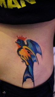 腹部彩色个性燕子纹身图案