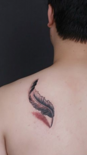 男子后背漂亮的3d羽毛纹身图案