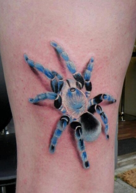 点击大图看下一张：欧美3D彩色蜘蛛纹身图案