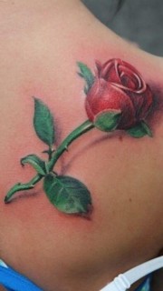 美女肩胛骨潮流经典的玫瑰花纹身图案