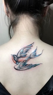 美女背部燕子纹身图案