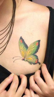 美女胸部漂亮的彩色蝴蝶纹身图案大全