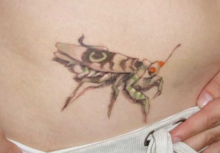 点击大图看下一张：腹部个性的螳螂纹身图案